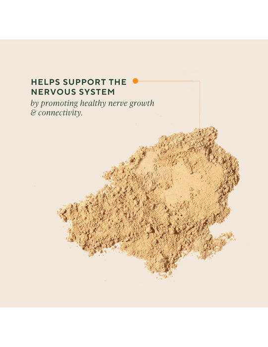 OM Lion’s Mane Organic Mushroom Powder - Whole-Food Brain Support