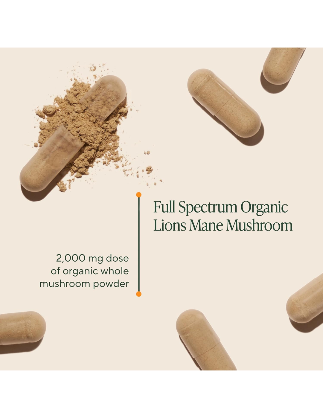 OM Lion’s Mane Organic Mushroom 180 Capsules