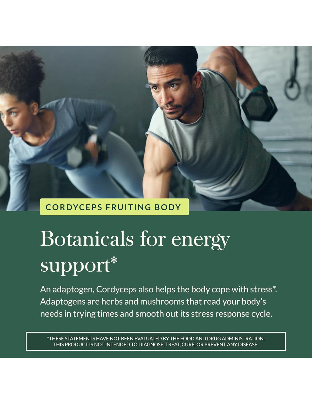 Gaia Herbs Cordyceps Mushroom – 40 Vegan Capsules