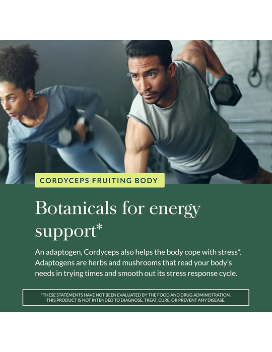 Gaia Herbs Cordyceps Mushroom – 40 Vegan Capsules