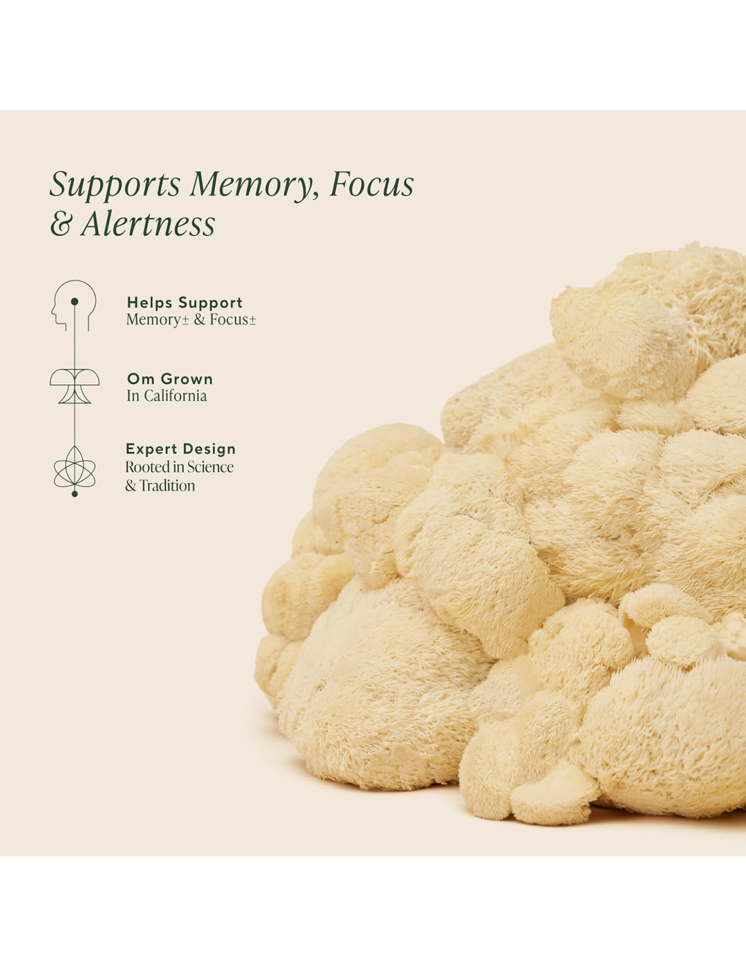 OM Lion’s Mane Organic Mushroom 180 Capsules