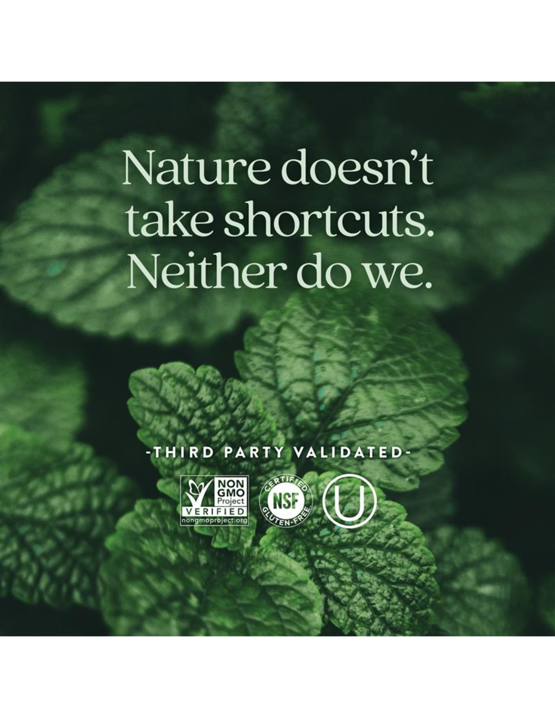 New Chapter One Daily Prenatal Multivitamin 35+ 30ct